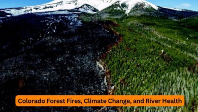 Colorado Forest Fires, Climate Change, and River Health