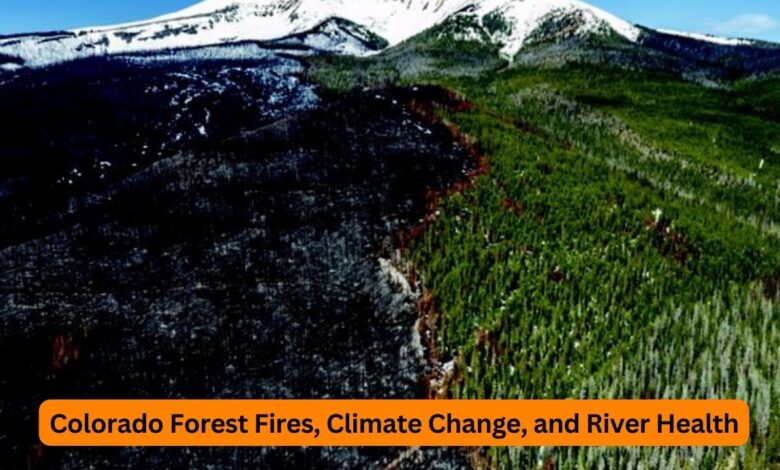 Colorado Forest Fires, Climate Change, and River Health