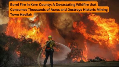 Borel Fire in Kern County: A Devastating Wildfire that Consumes Thousands of Acres and Destroys Historic Mining Town Havilah