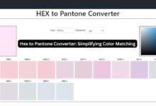 Hex to Pantone Converter: Simplifying Color Matching