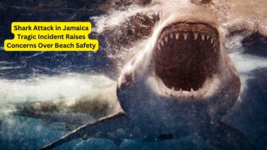 Shark Attack in Jamaica Tragic Incident Raises Concerns Over Beach Safety