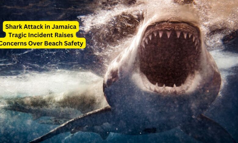 Shark Attack in Jamaica Tragic Incident Raises Concerns Over Beach Safety